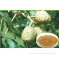 Horse Chestnut Extract